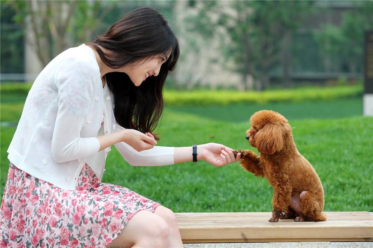 1531827061128969.jpg 宠物 人.jpg