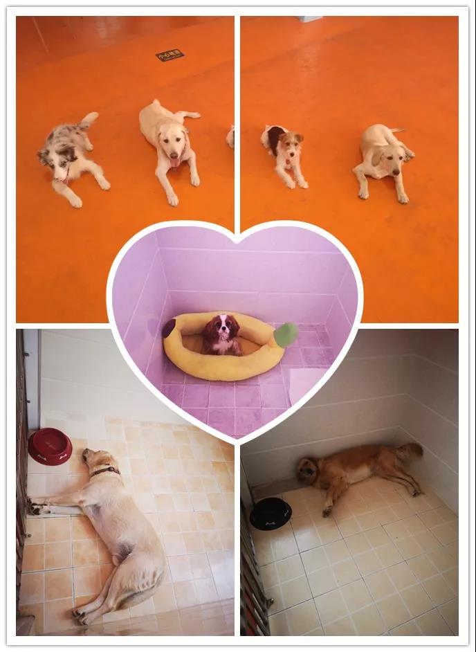 1565771552180518.jpg 1565771552180518.jpg