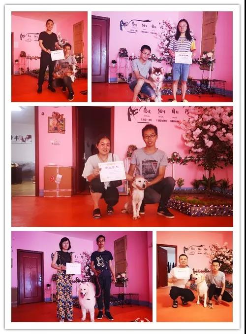 1565771563588932.jpg 微信图片_20190814162845.jpg