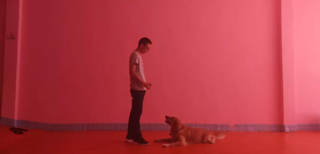 1565771588652146.jpg 1565771588652146.jpg