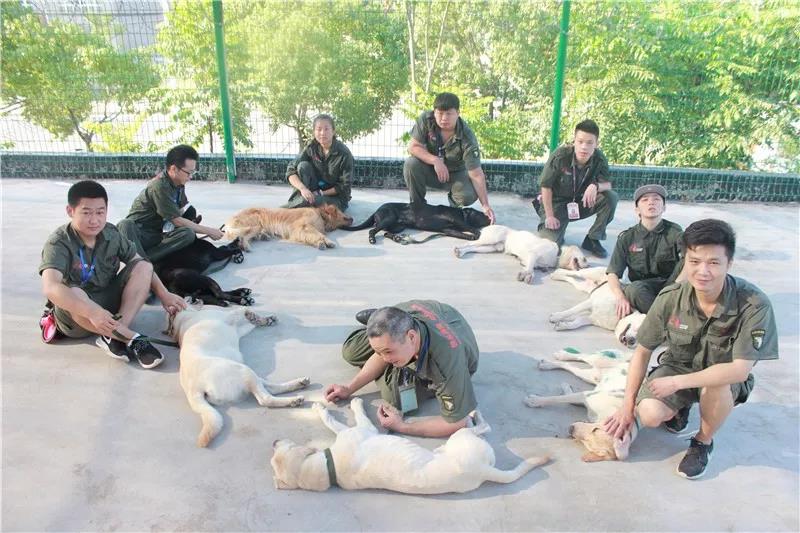 1565771589106266.jpg 1565771589106266.jpg