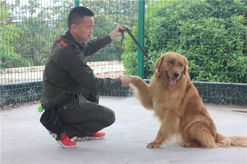 1565771589671726.jpg 1565771589671726.jpg