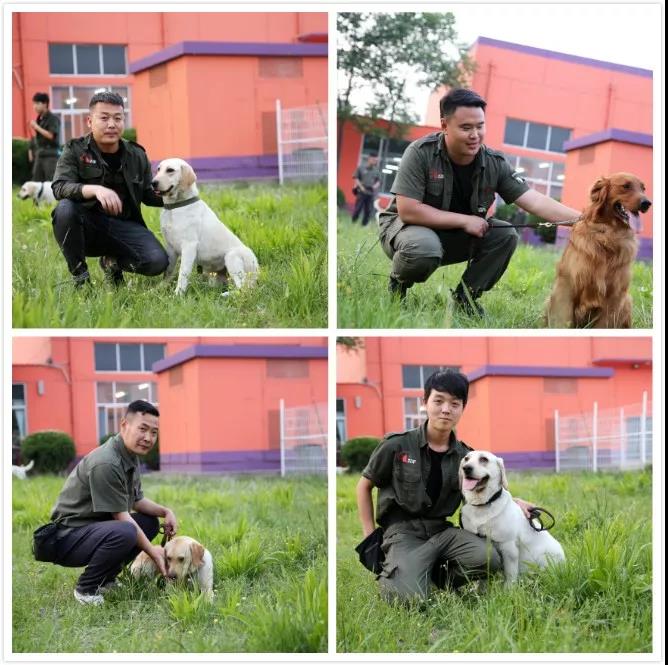 1565772175106516.jpg 1565772175106516.jpg