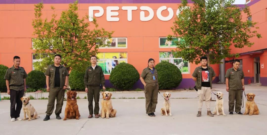 1565772204132167.jpg 1565772204132167.jpg