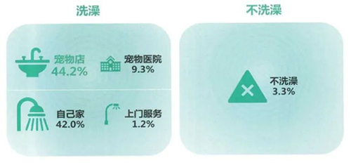 1597039410110651.jpg 12.jpg