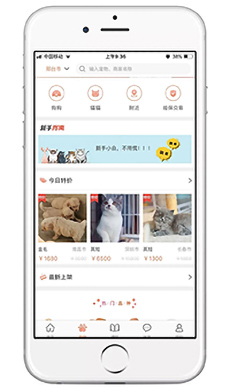 1597124830706624.jpg 640-(3).jpg