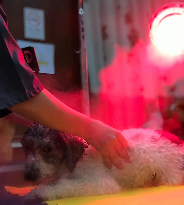 1597895693744062.jpg 640-(1).jpg